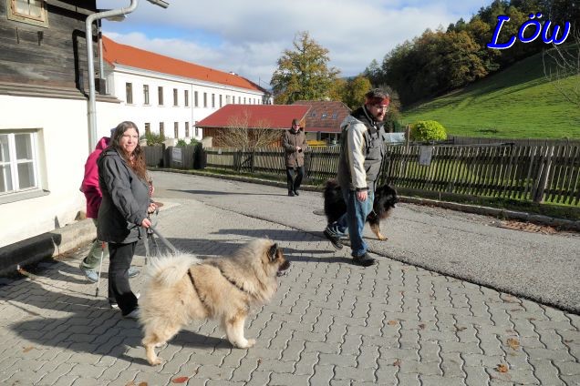 1.11.2023 - Friedhofsbesuch